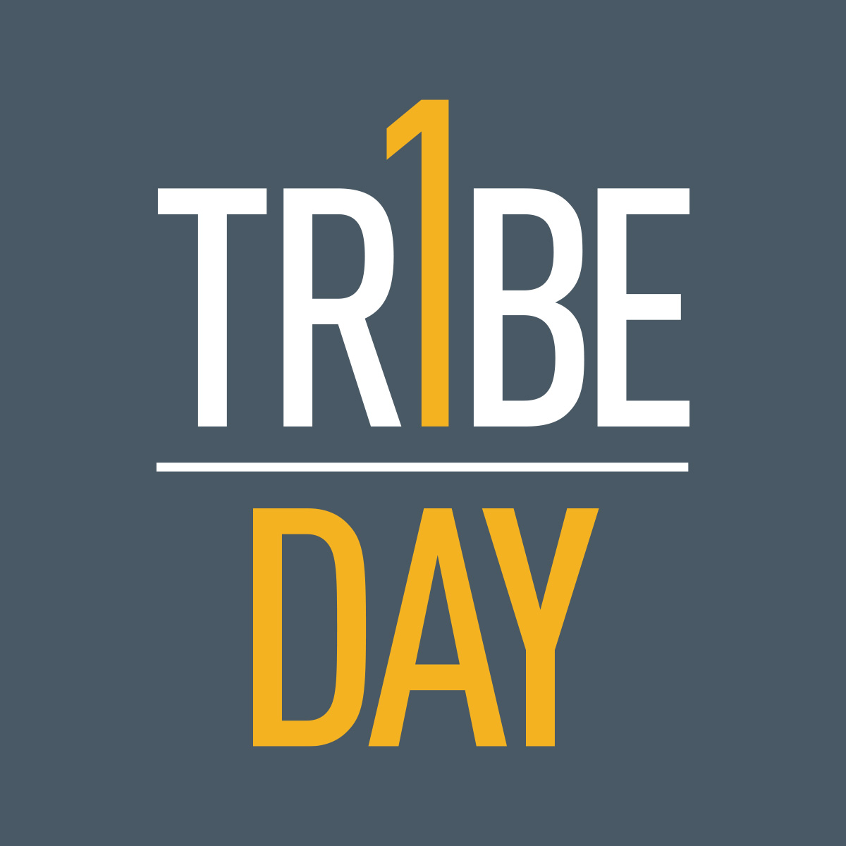 One Tribe One Day Gray